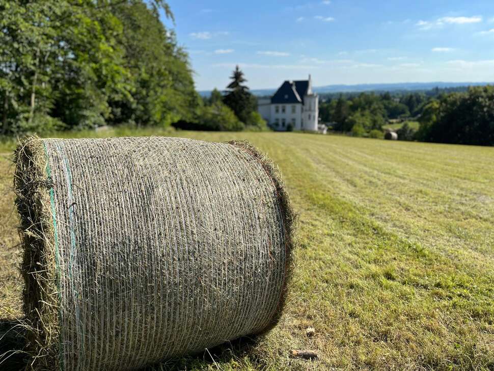 Een foto van Landhotel Harz