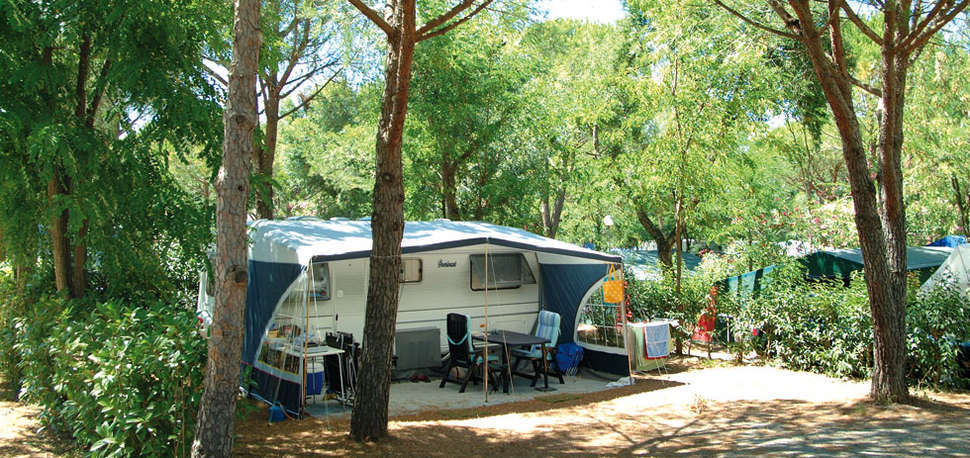 Een foto van Camping La Baume - La Palmeraie
