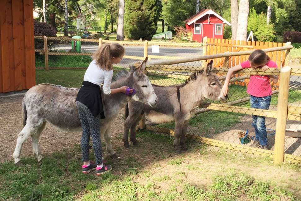 Een foto van Felsenhof Bungalowpark & Camping