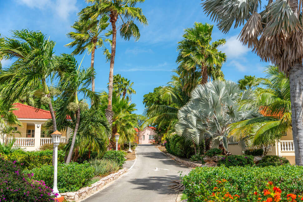 Een foto van Livingstone Jan Thiel Resort