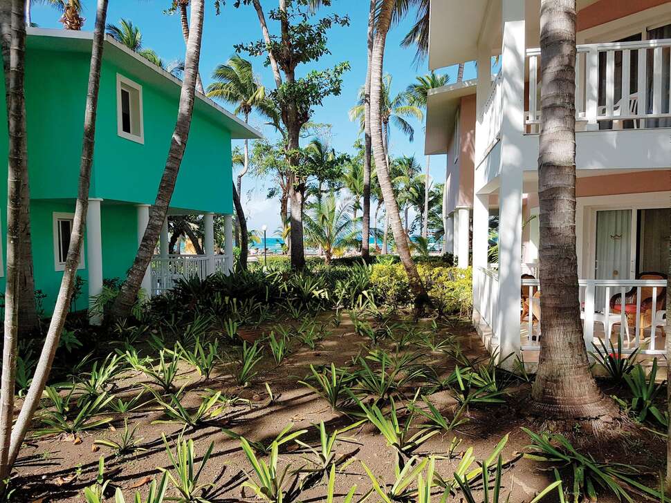 Ein Foto Senator Puerto Plata Spa Resort