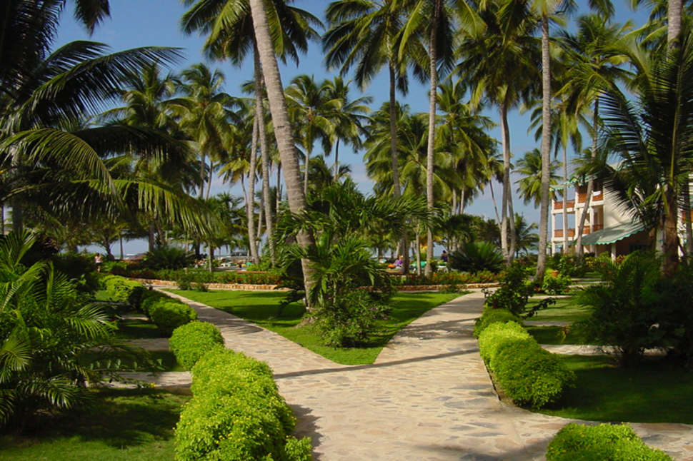 Een foto van het terras bij Hotel Playa Colibri