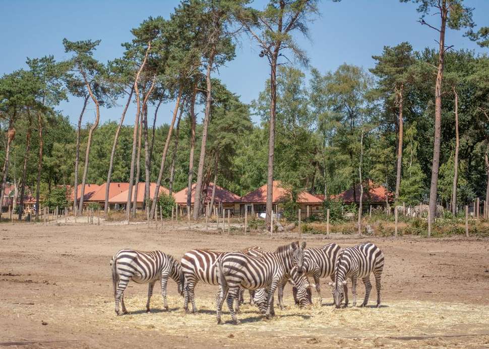 Een foto van Safari Resort Beekse Bergen