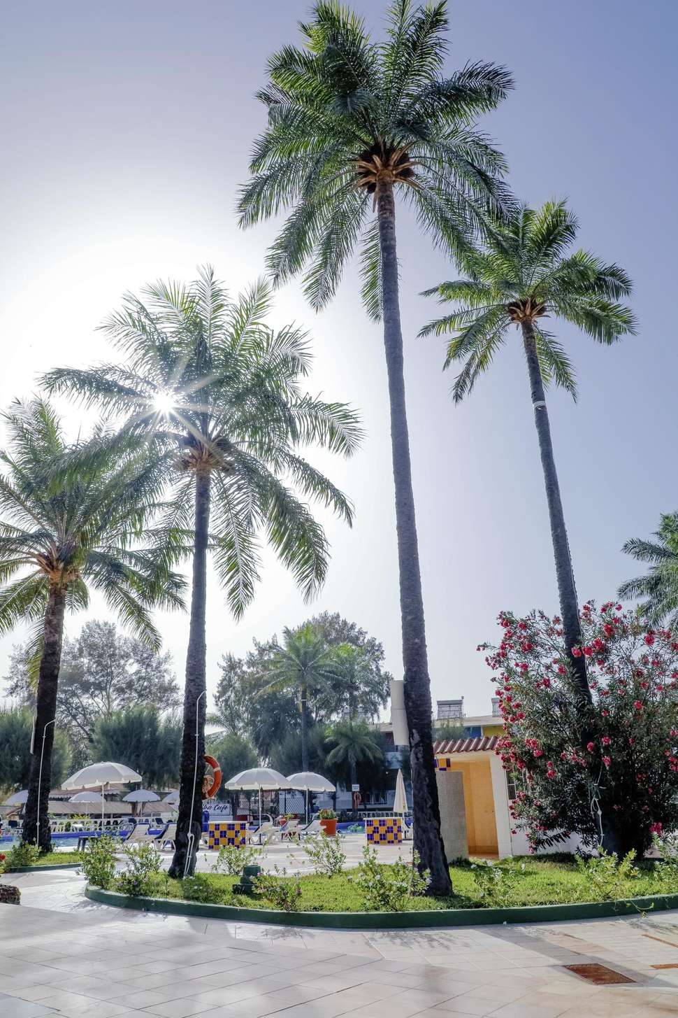 Een foto van Palma Rima Hotel
