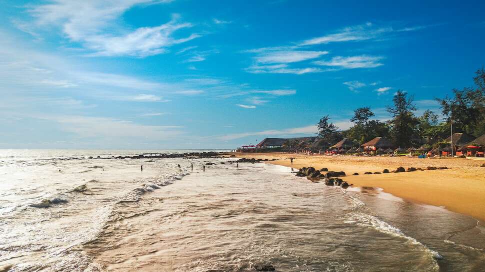 Een foto van Royal Horizons Baobab