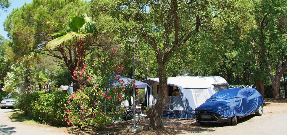 Een foto van Camping La Baume - La Palmeraie