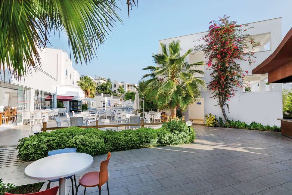 Een foto van het terras bij Club Shark Hotel