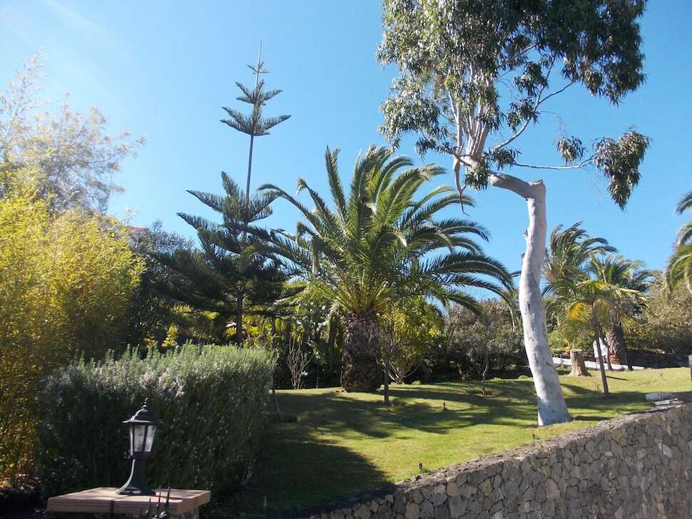 Ein Foto Hotel La Palma Romantica