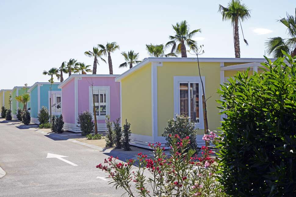 Een foto van Alannia Costa Blanca
