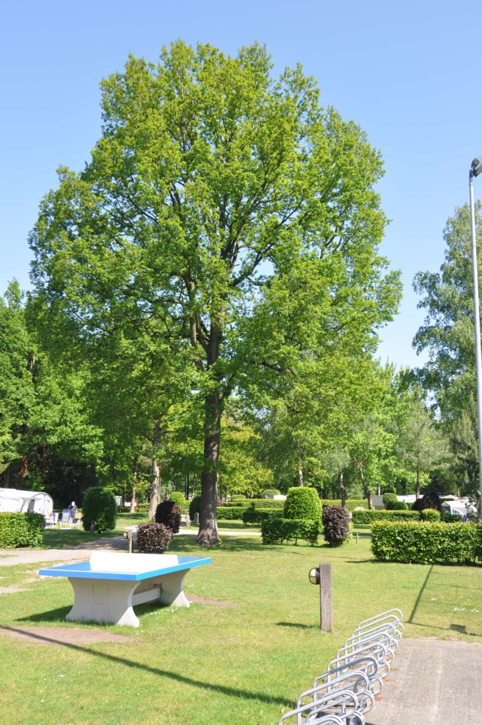 Een foto van de faciliteiten bij Camping Colline de Rabais