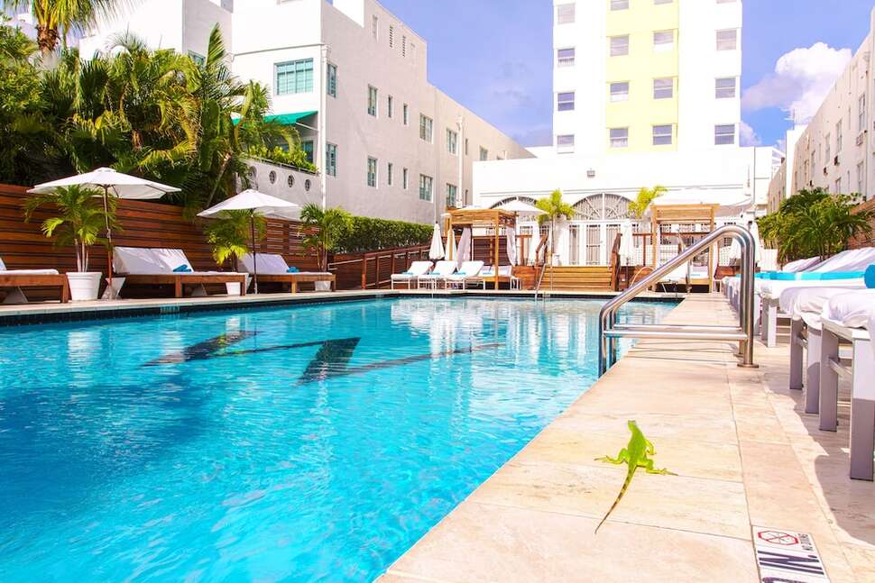 Een foto van Marseilles Hotel