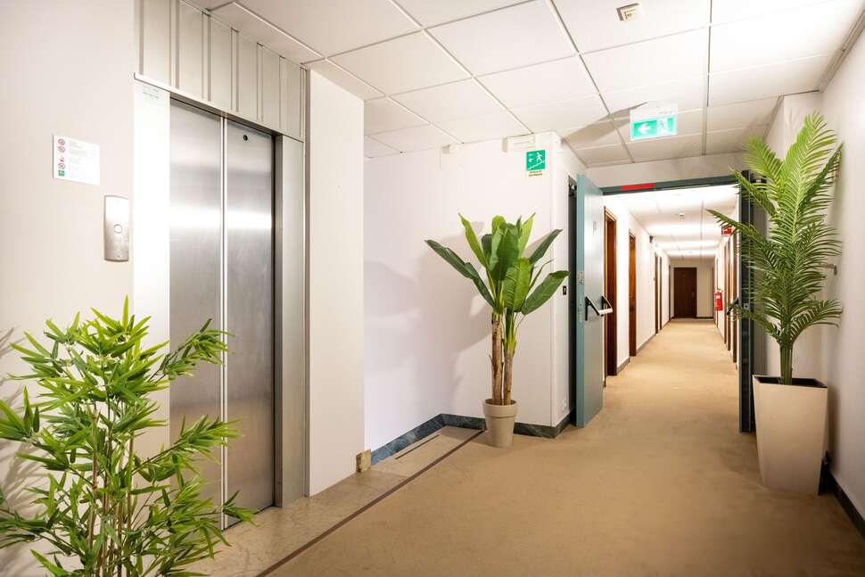 Een foto van Camelia Rooms