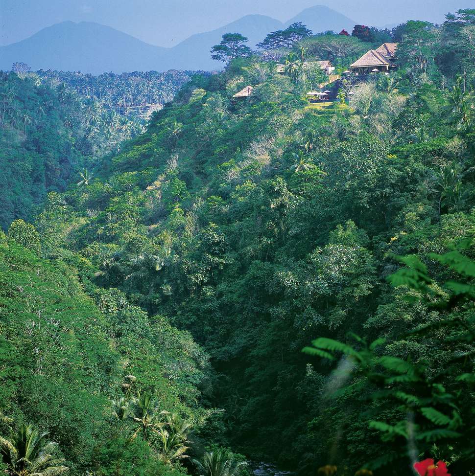 Ein Foto Alila Ubud