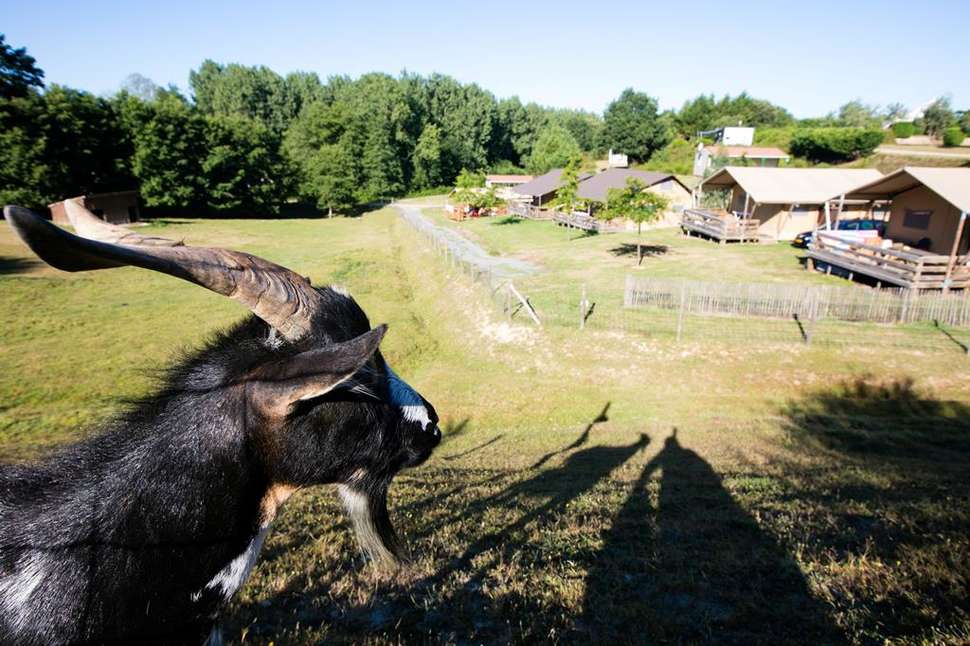 Een foto van Village de la Guyonniere