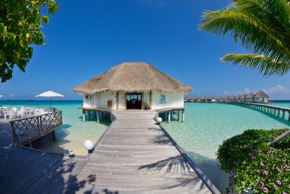 Een foto van Safari Island