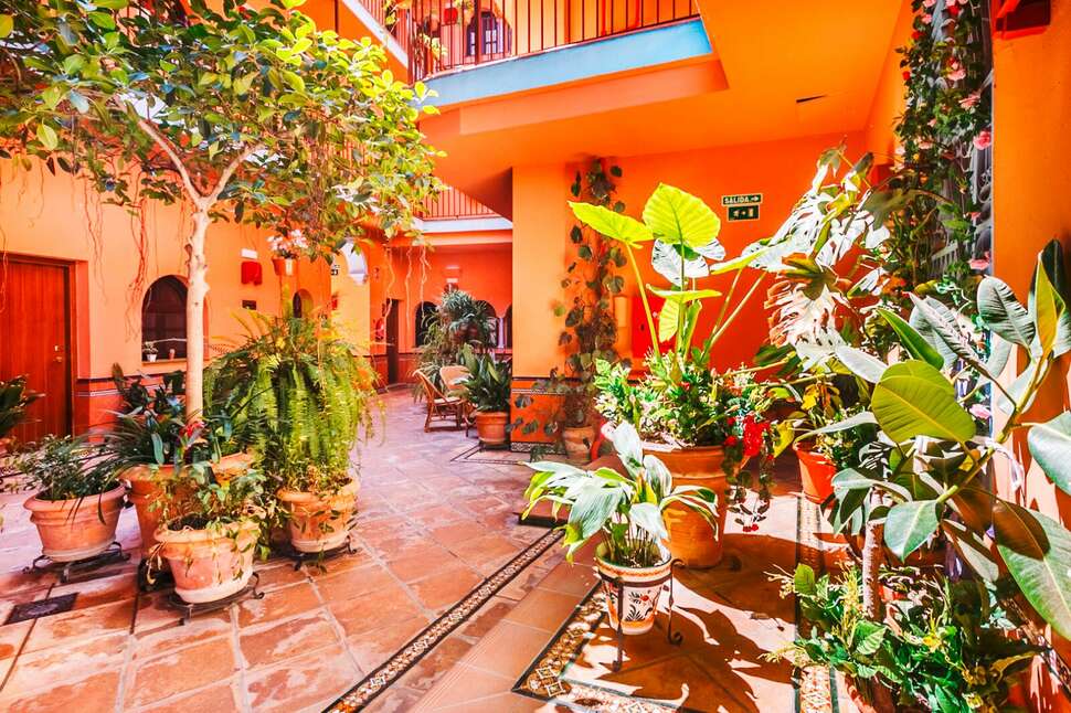 Ein Foto Patio de la Alameda