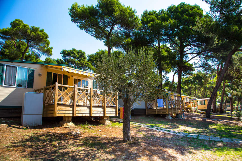 Ein Foto Arena Indije Campsite
