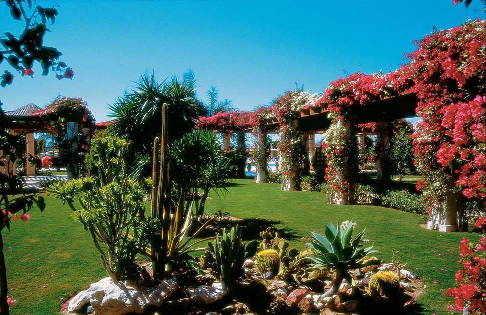Een foto van het terras bij Robinson Club Soma Bay