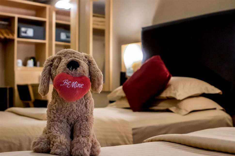 Een foto van The Academy Plaza Hotel