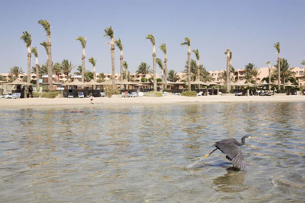 Een foto van het strand bij Elphistone Resort
