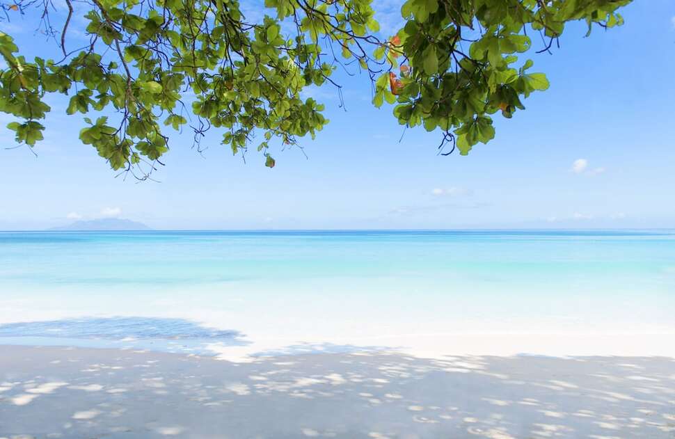 Een foto van Story Seychelles