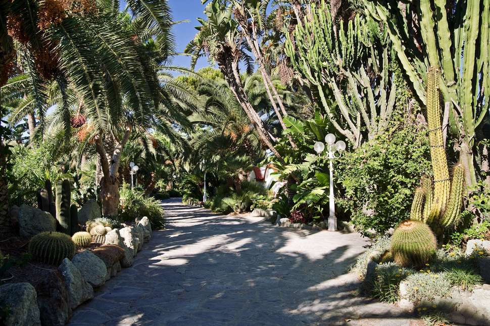 Een foto van het terras bij Park Hotel Terme Mediterraneo