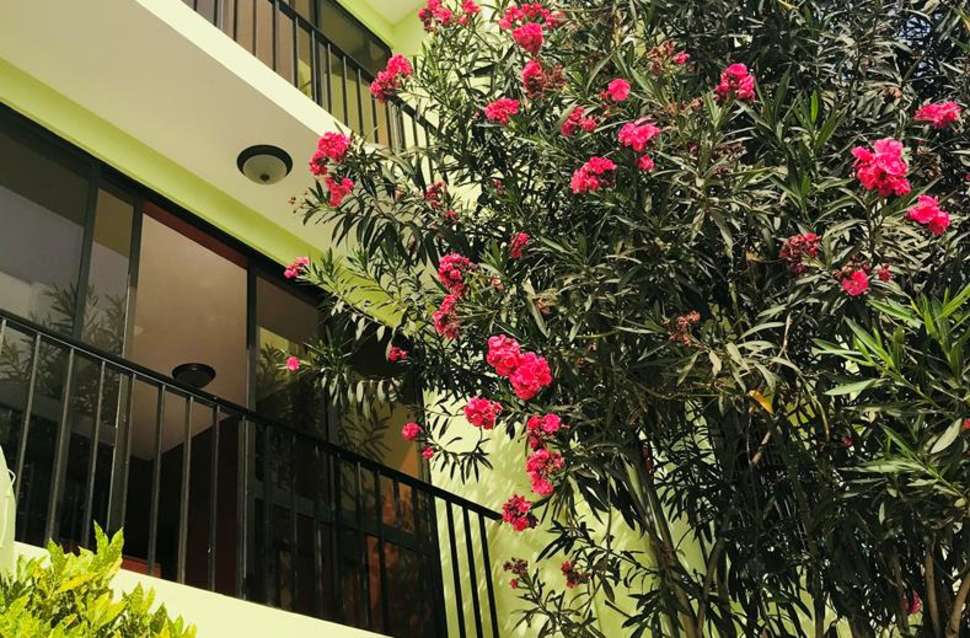 Een foto van de buitenkant van Hotel Central Sal