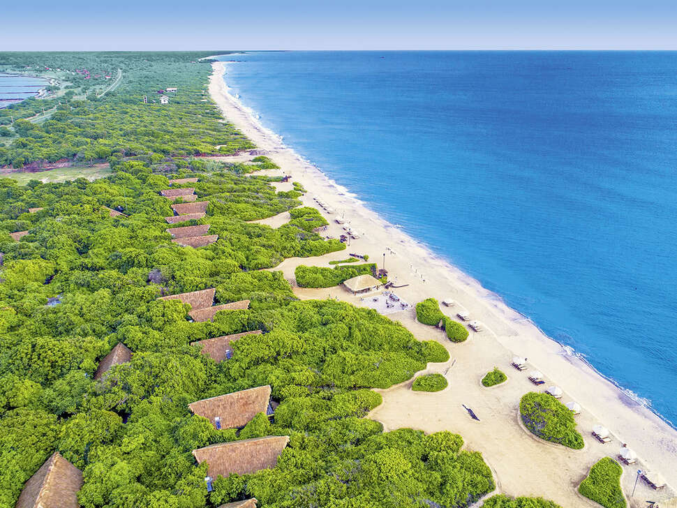 Een foto van Jungle Beach Resort