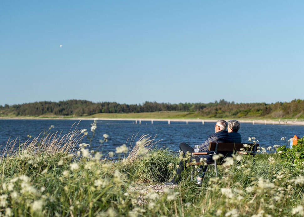 Een foto van Hvalpsund Familie Camping