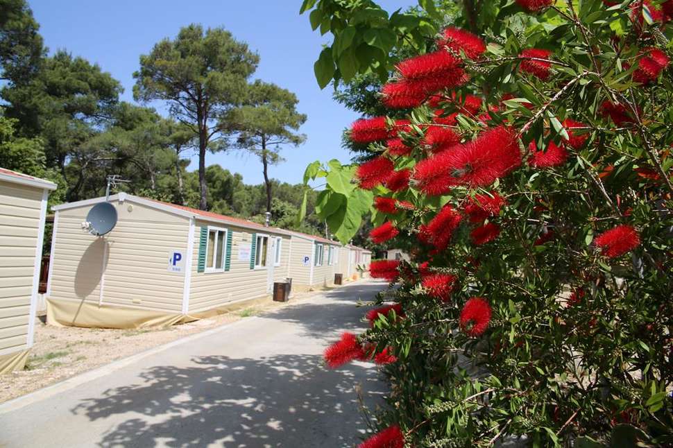 Een foto van Camping Park Soline
