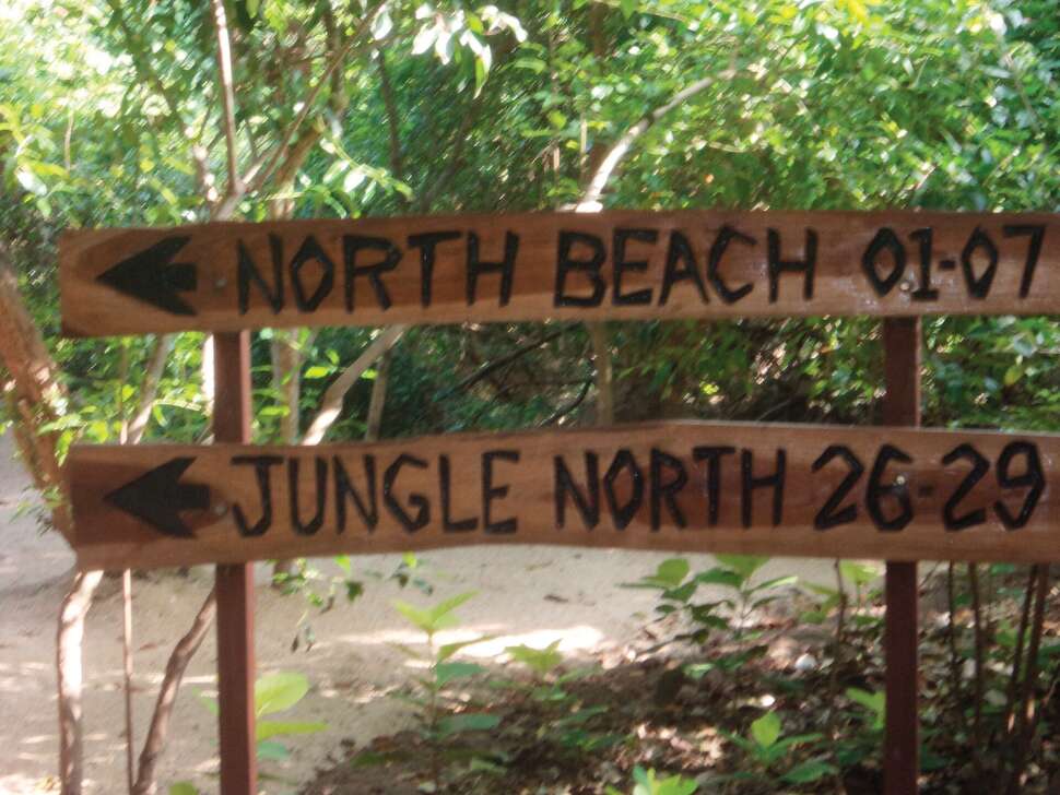 Een foto van Jungle Beach Resort