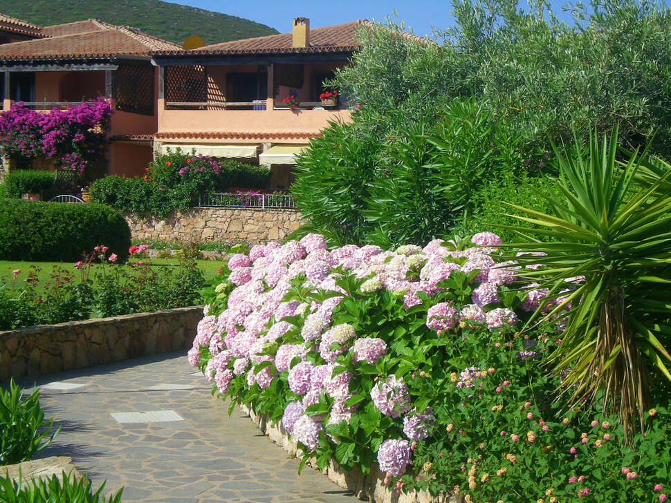 Een foto van Residence Baia de Bahas