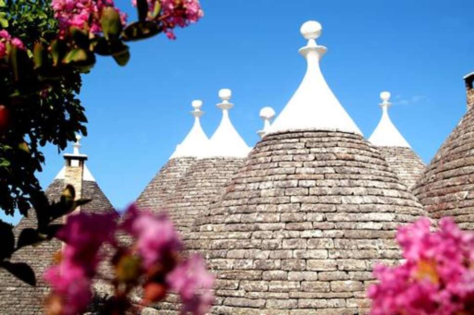 Een foto van Tenuta Monacelle