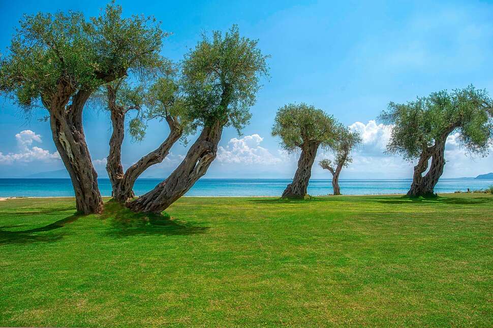 Ein Foto von der Terrasse im Domes Miramare