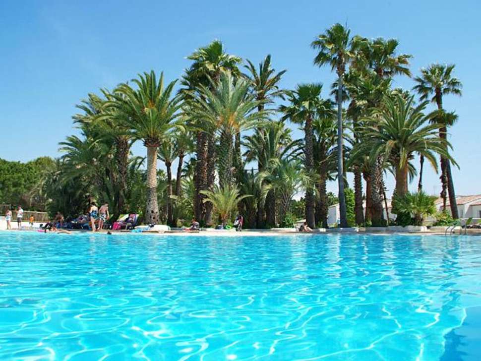Een foto van het zwembad bij Camping La Baume - La Palmeraie