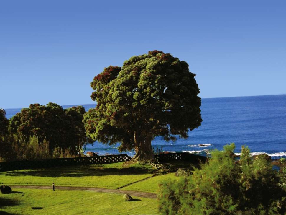 Een foto van Pestana Bahia Praia