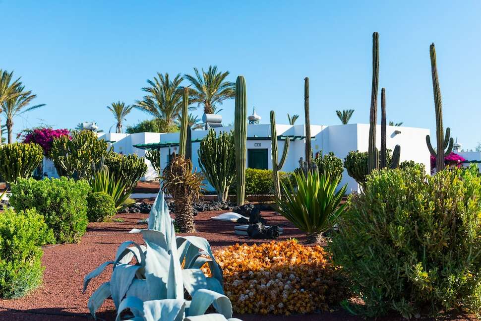 Een foto van de buitenkant van Club Playa Blanca Hotel