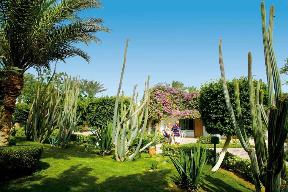 Een foto van Shams Safaga Resort
