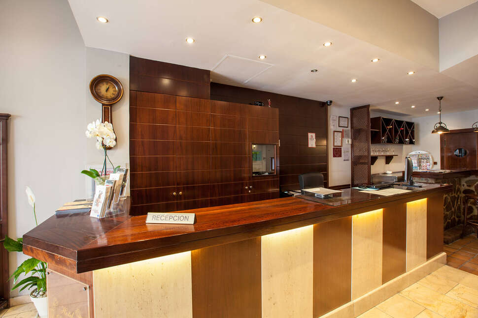 Een foto van Hotel Don Paco Malaga