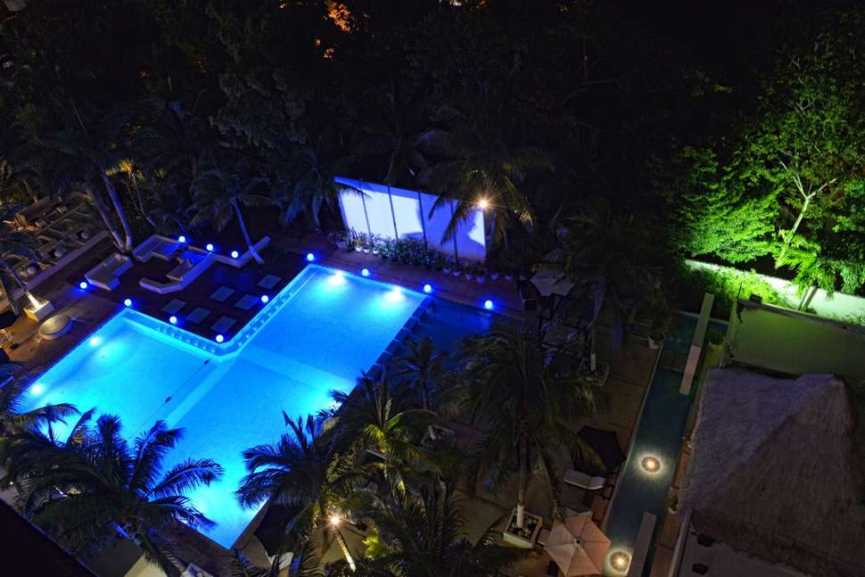 Een foto van Oh the Urban Oasis