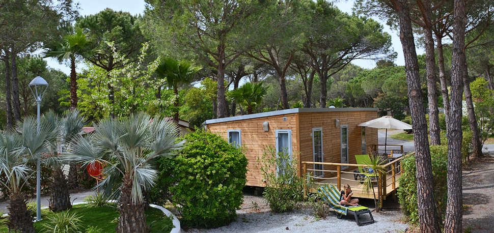 Een foto van Camping La Baume - La Palmeraie