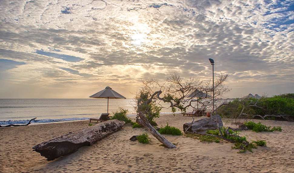 Een foto van Jungle Beach Resort