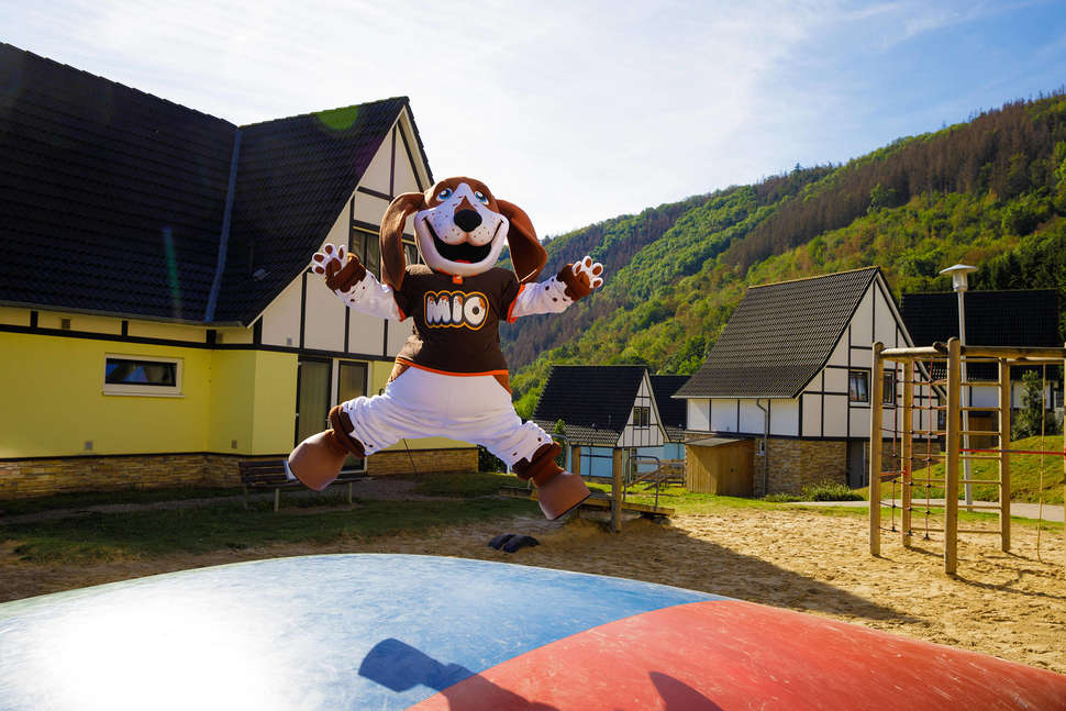 Een foto van de faciliteiten bij Dormio Resort Eifeler Tor