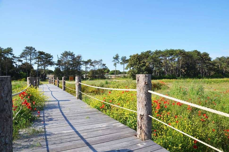 Een foto van Lino delle Fate Eco Village Resort