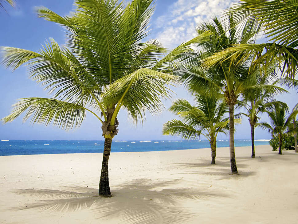 Een foto van Viva Wyndham V Heavens