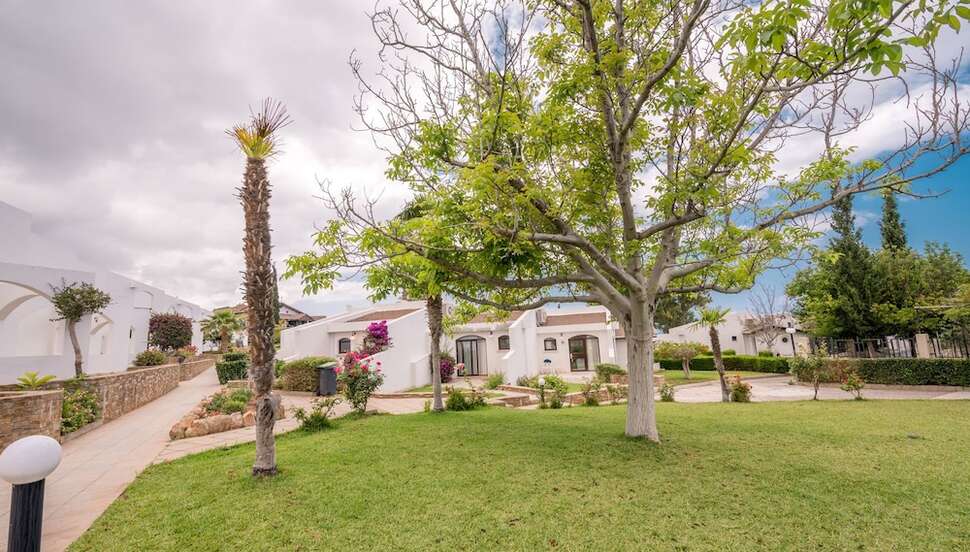 Een foto van The Olive Tree Hotel