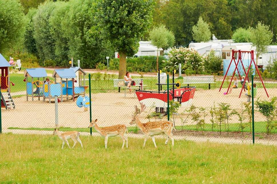 Een foto van de faciliteiten bij Bestcamp Camping Nieuwpoort
