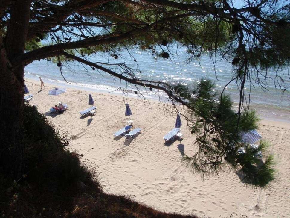Een foto van Golden Sand