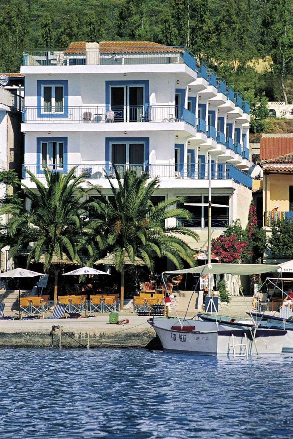 Een foto van Hotel Dolphin