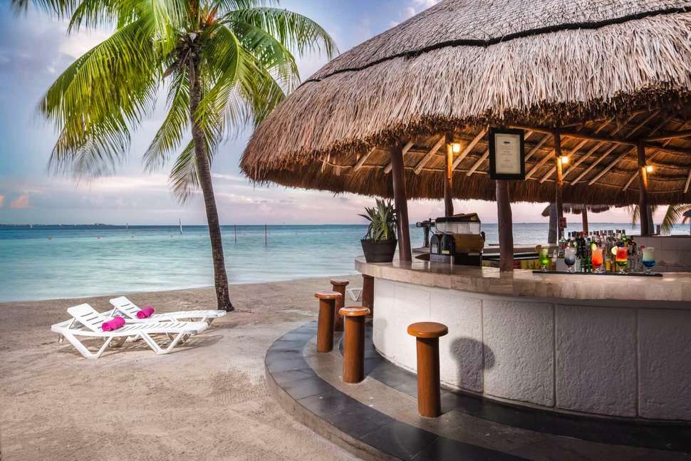 Een foto van Oasis Palm